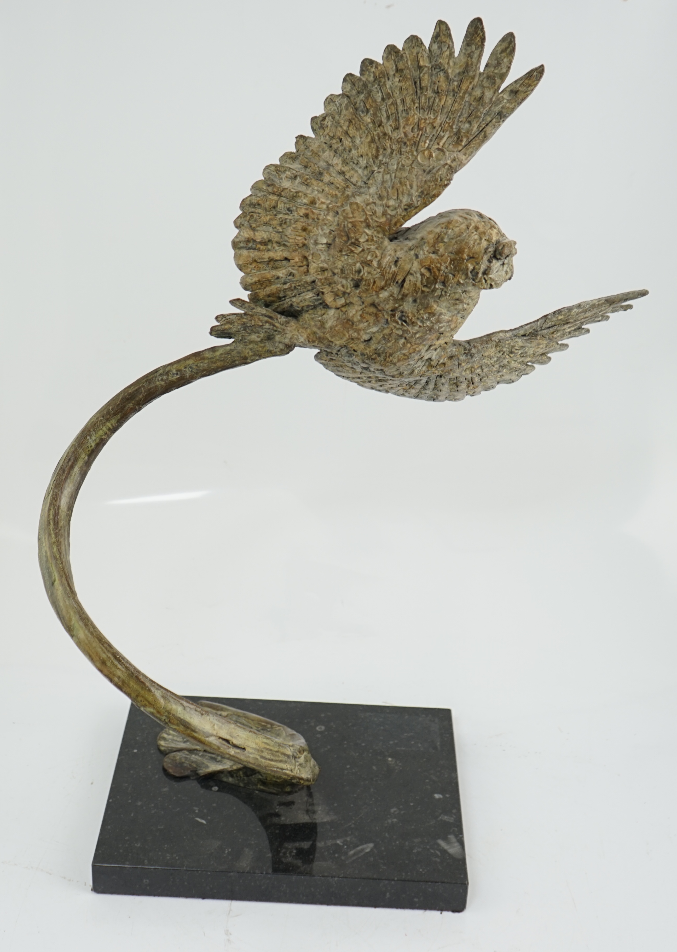 Hamish Mackie (b.1973), bronze, 'Little Owl'